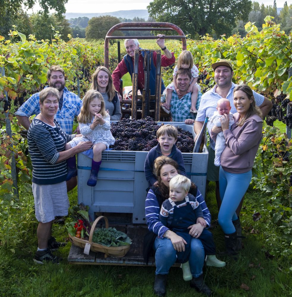 Family in Vineyard