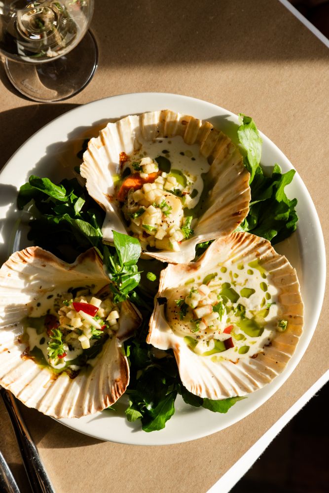 Fresh Scallops