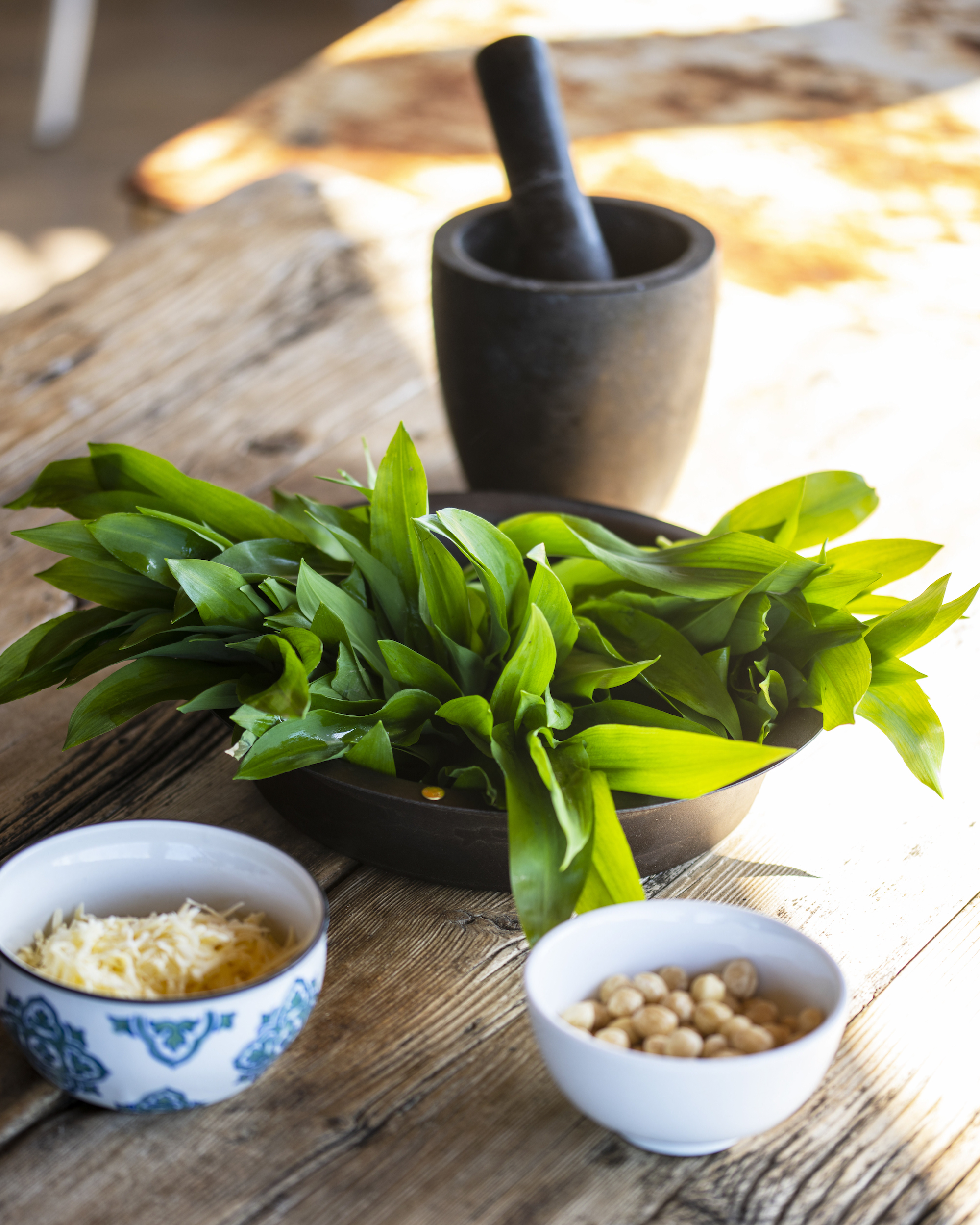 Seasonal Recipe: Wild Garlic Pesto