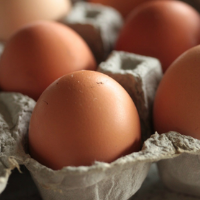 Free-Range Egg Tray (x6 eggs)