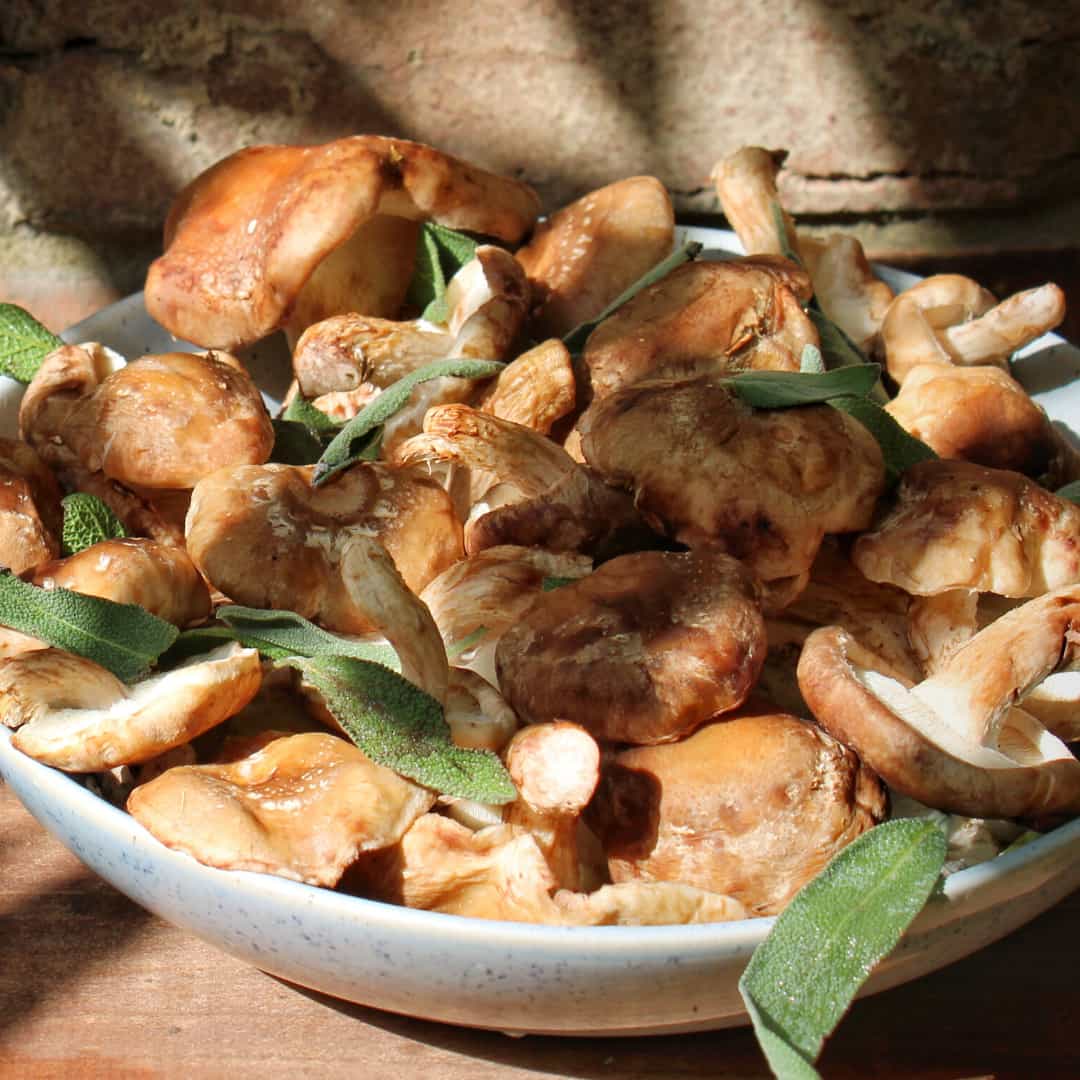 Biodynamic Mushrooms (180g)